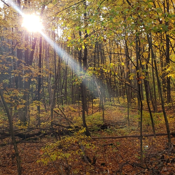 🍂Embracing Change🍂 - Picture 3 of 4